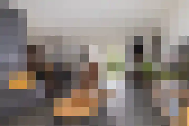 Delf 5 Delfzijl foto 3