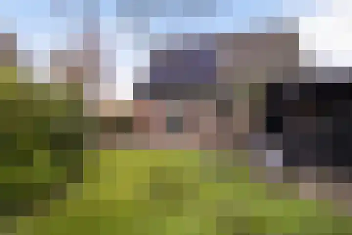 Delf 5 Delfzijl thumbnail 30