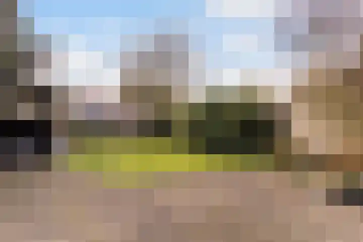 Delf 5 Delfzijl thumbnail 33