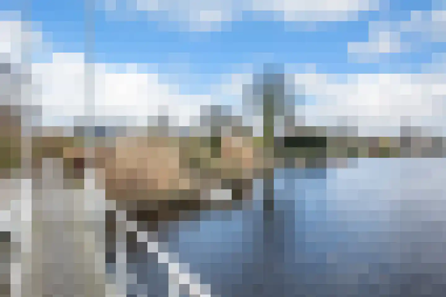 Delf 67 Veendam thumbnail 42