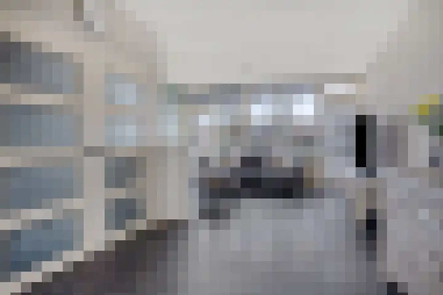 Delf 8 Veendam thumbnail 17
