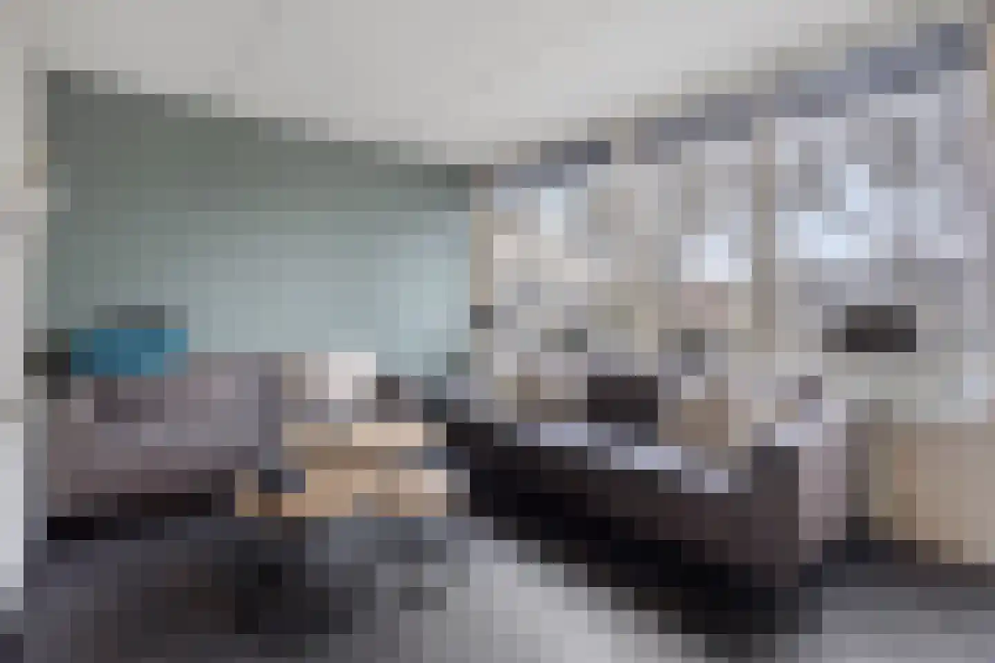 Delf 8 Veendam thumbnail 20