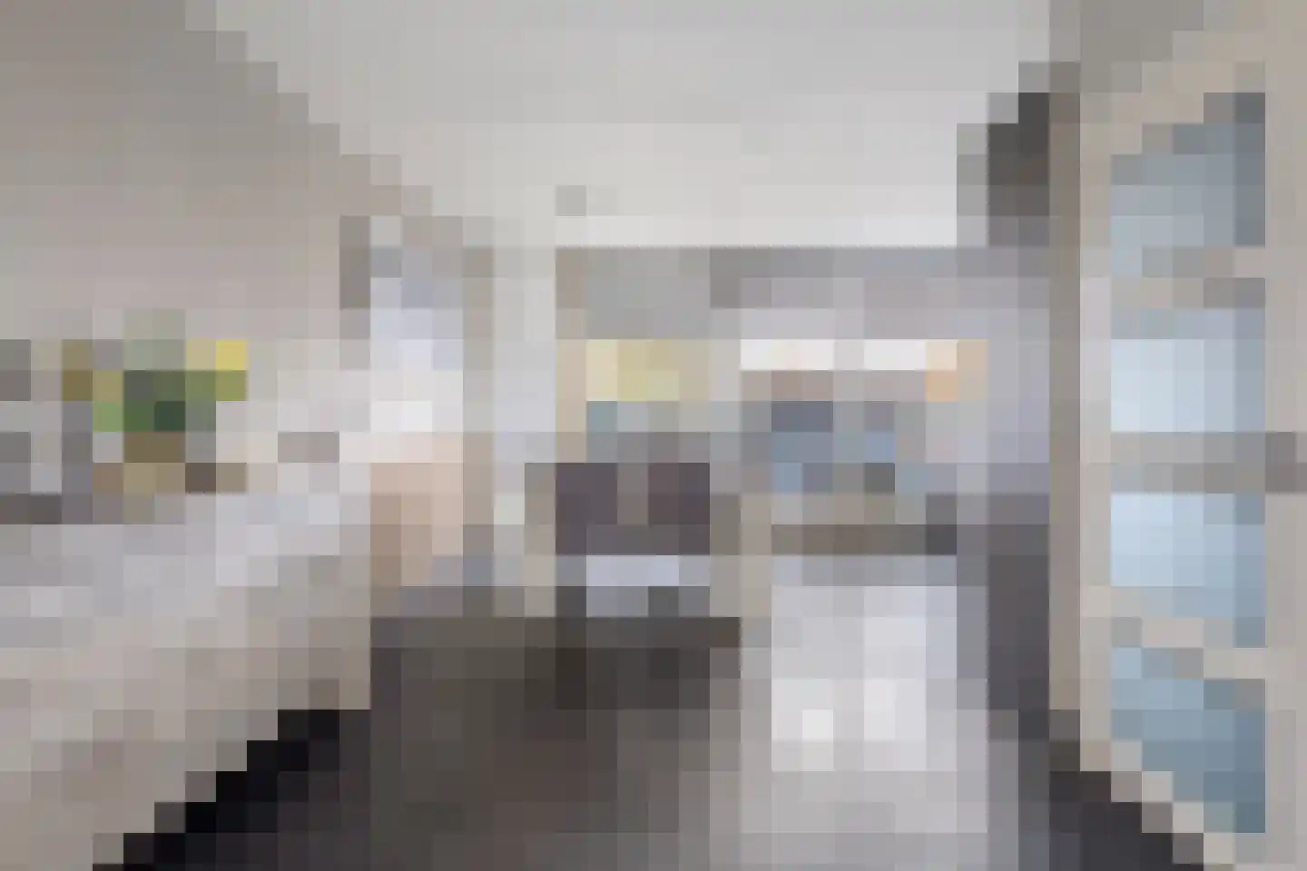 Delf 8 Veendam thumbnail 22