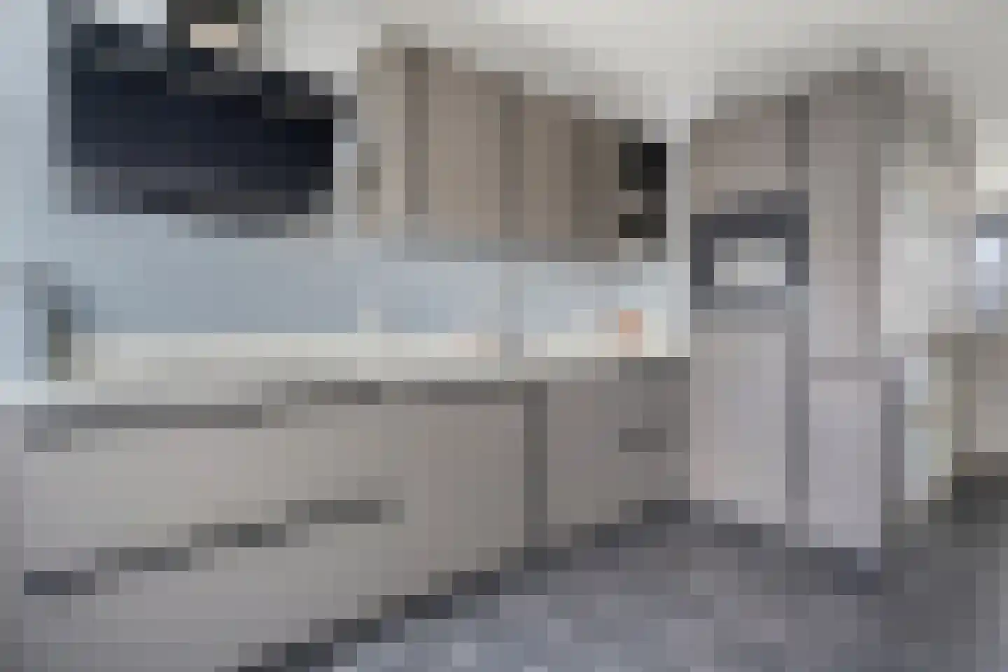 Delf 8 Veendam thumbnail 24