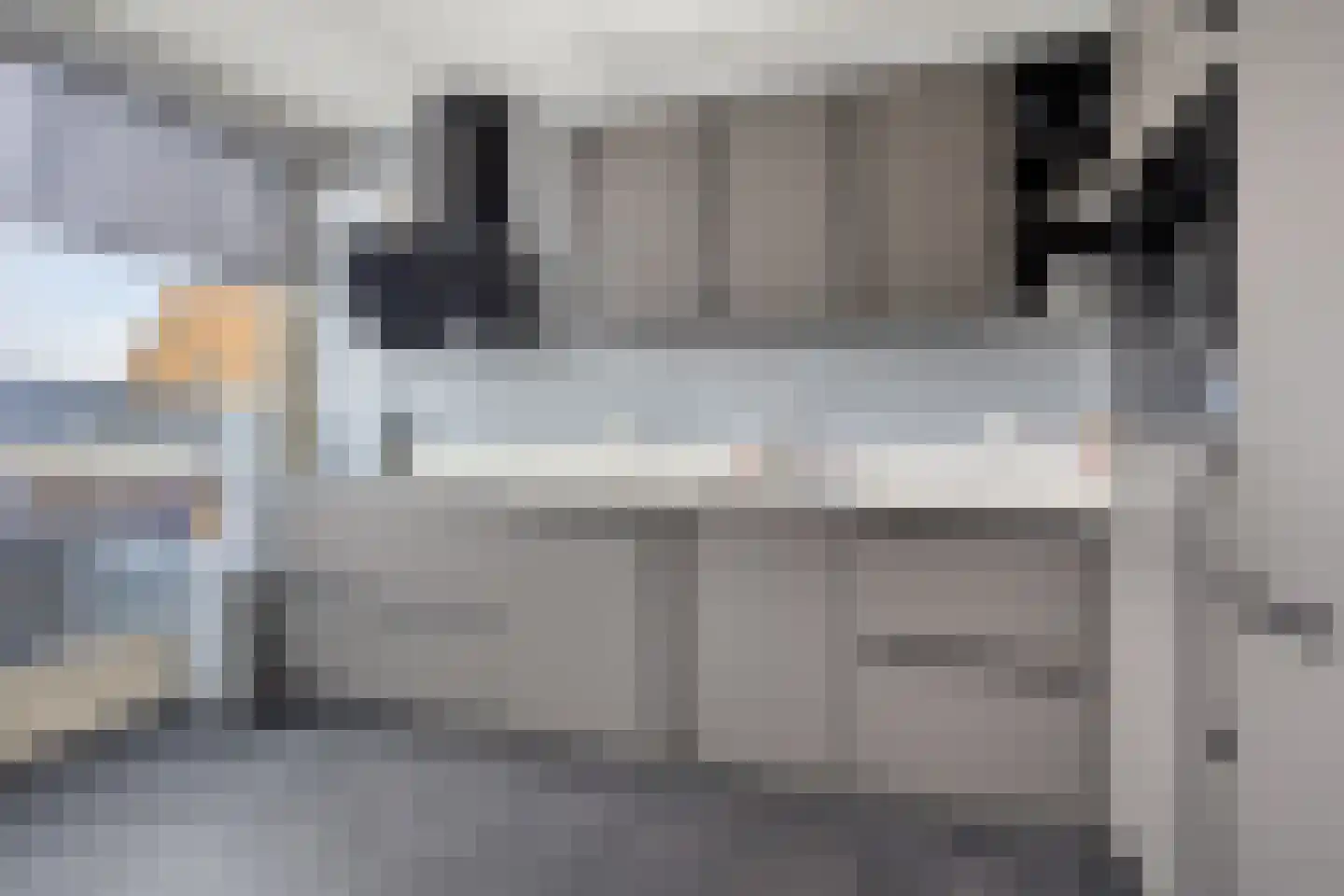 Delf 8 Veendam thumbnail 25
