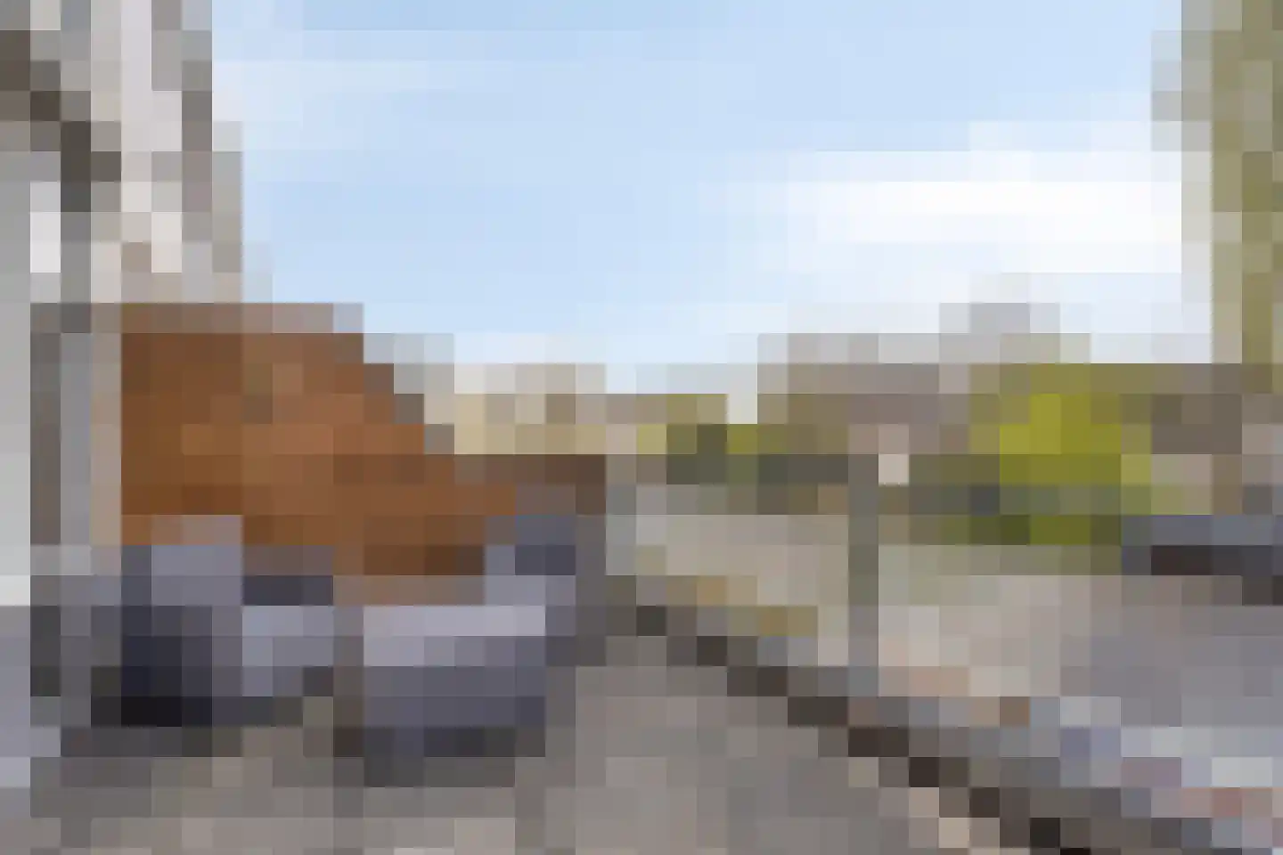 Delf 8 Veendam thumbnail 27