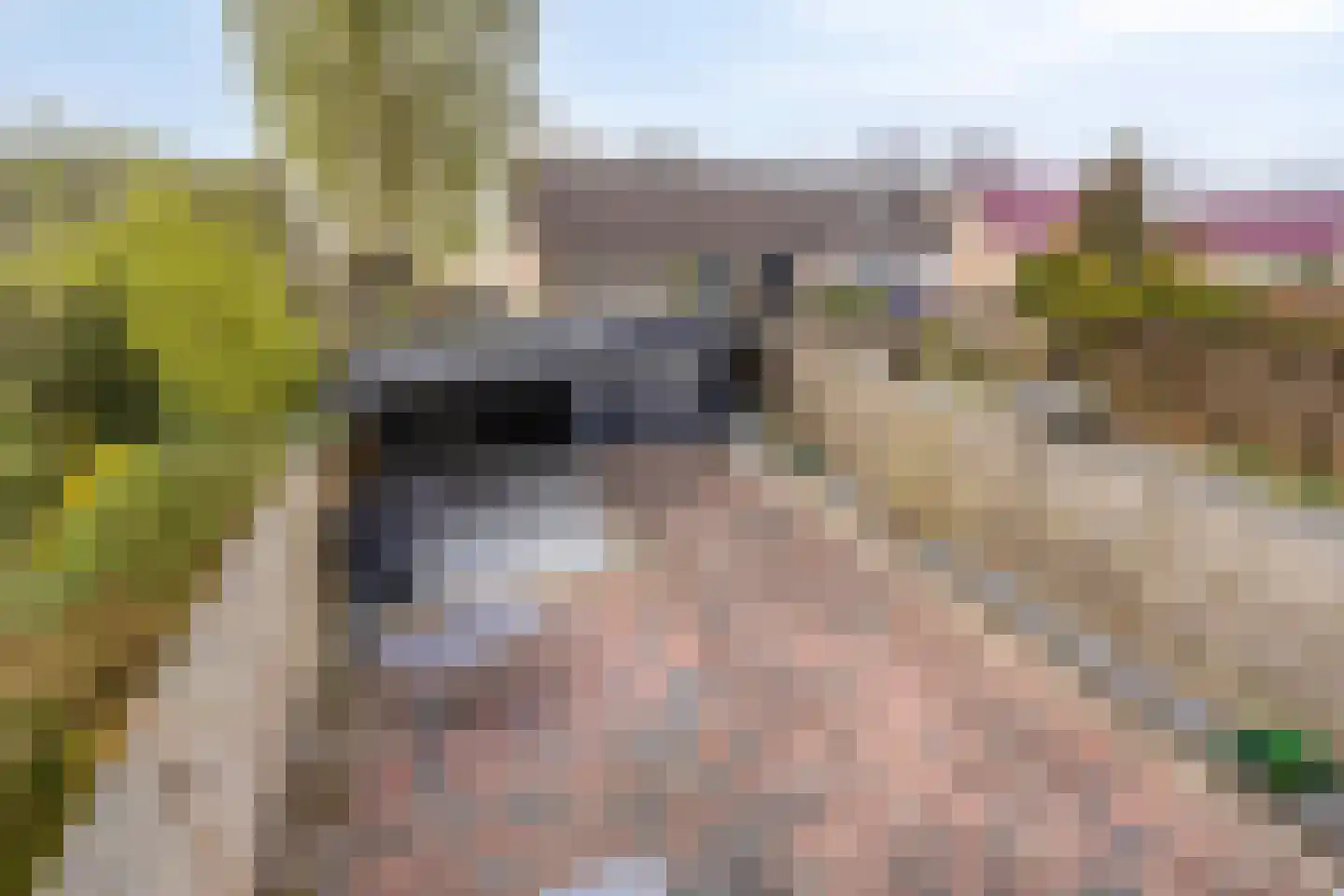 Delf 8 Veendam thumbnail 29