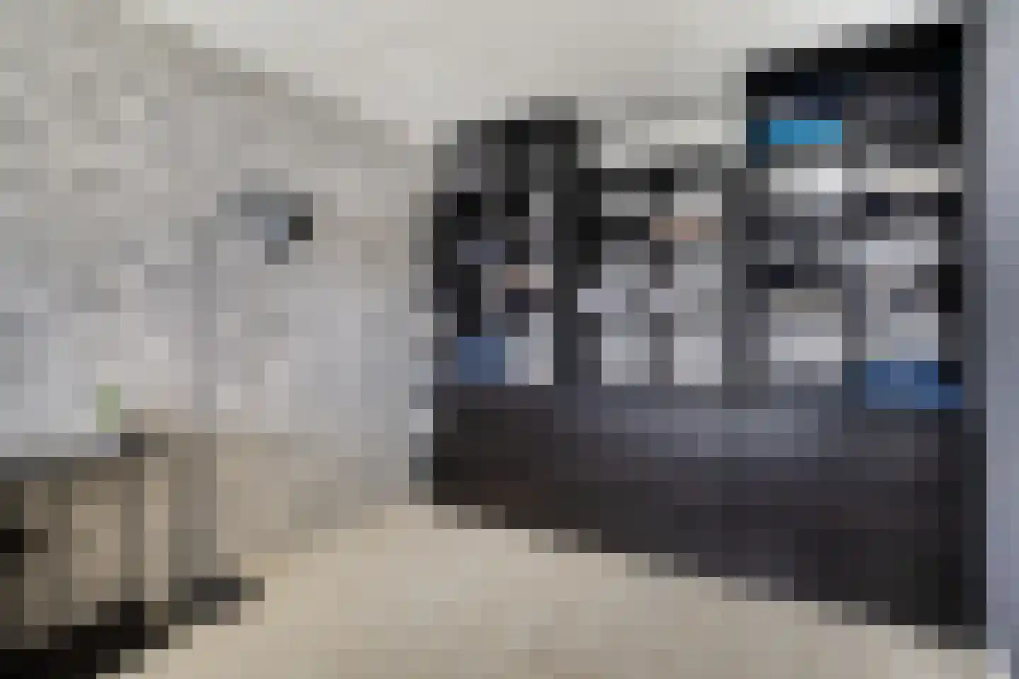 Delf 8 Veendam thumbnail 33