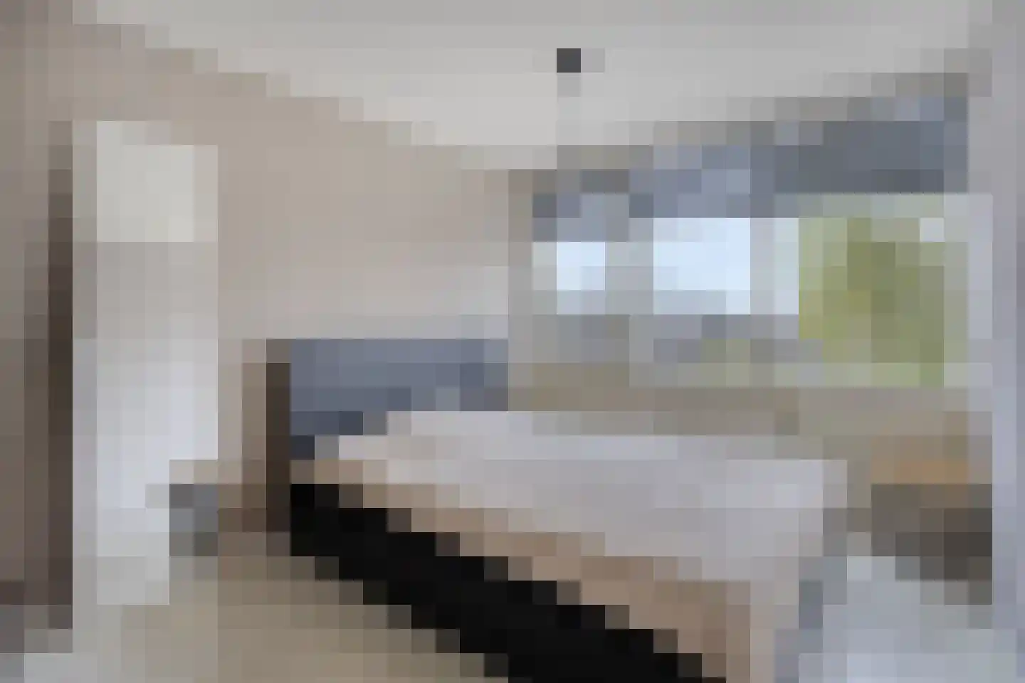 Delf 8 Veendam thumbnail 36