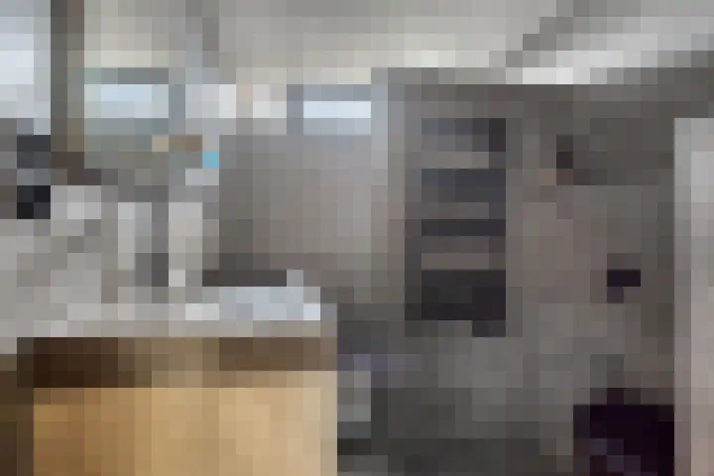 Delf 8 Veendam thumbnail 4
