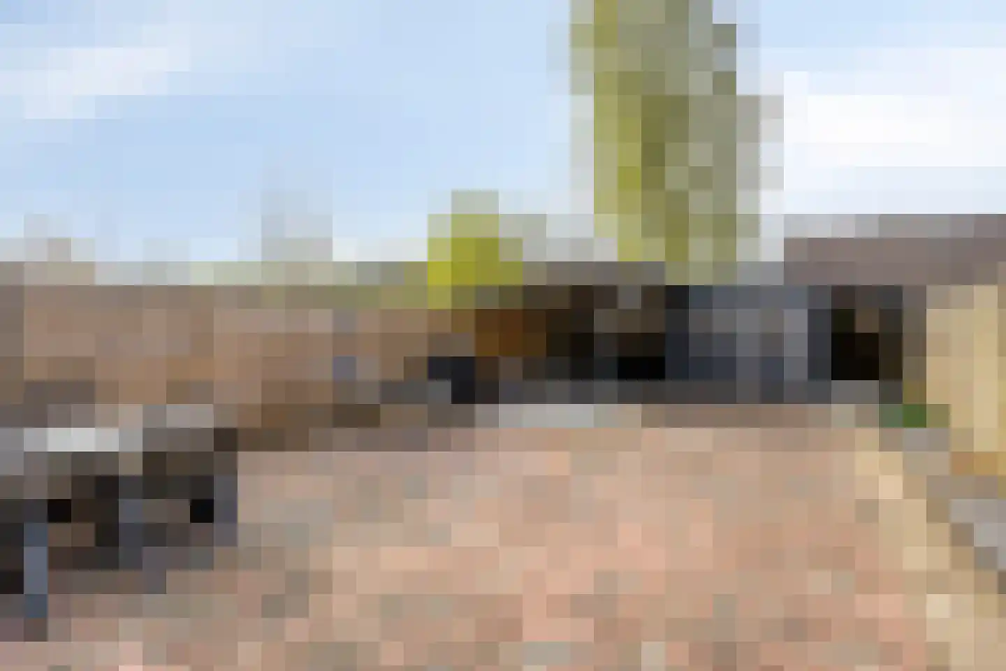 Delf 8 Veendam thumbnail 40