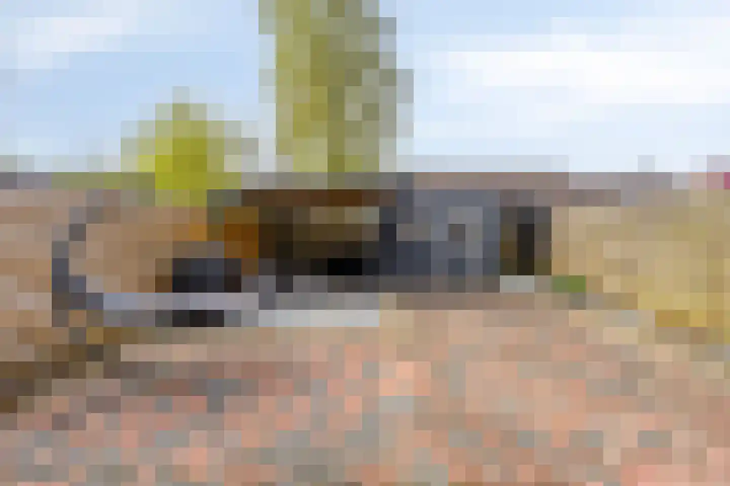 Delf 8 Veendam thumbnail 41