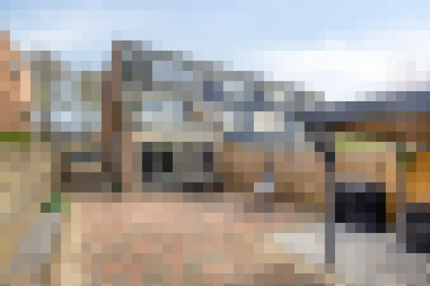 Delf 8 Veendam thumbnail 42