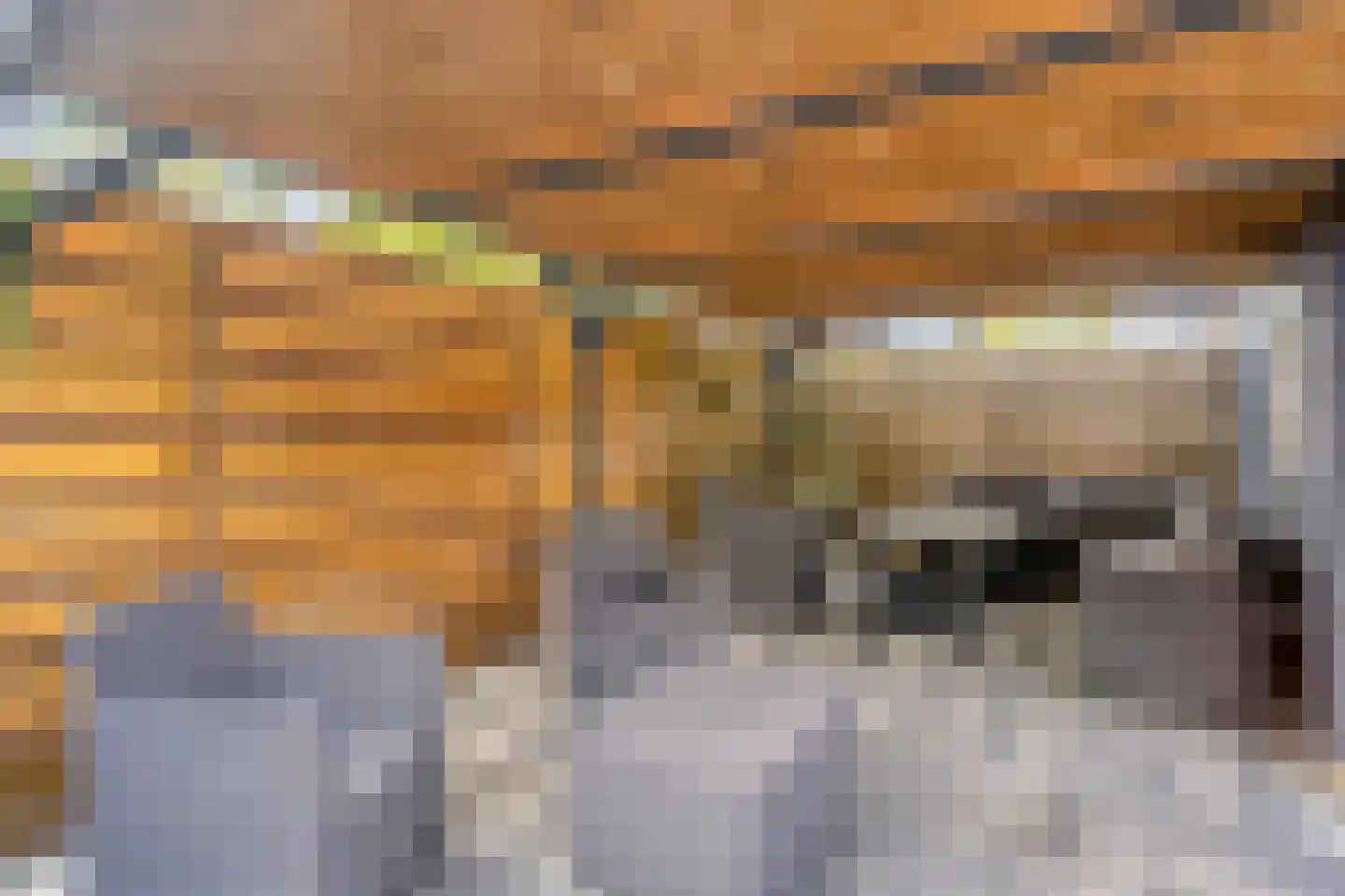 Delf 8 Veendam thumbnail 43