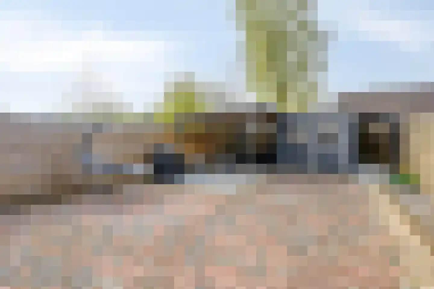 Delf 8 Veendam thumbnail 45