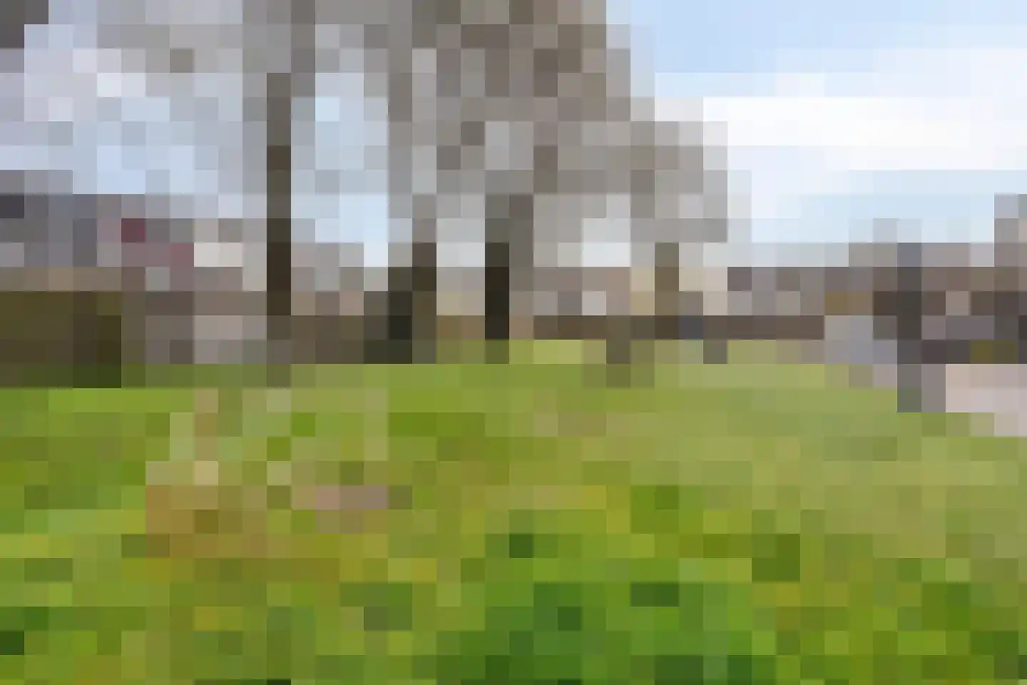 Delf 8 Veendam thumbnail 47