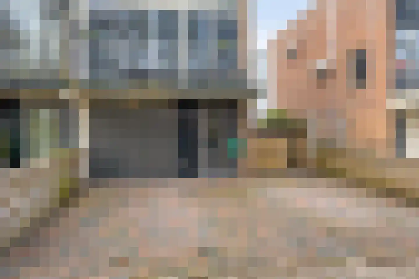 Delf 8 Veendam thumbnail 7