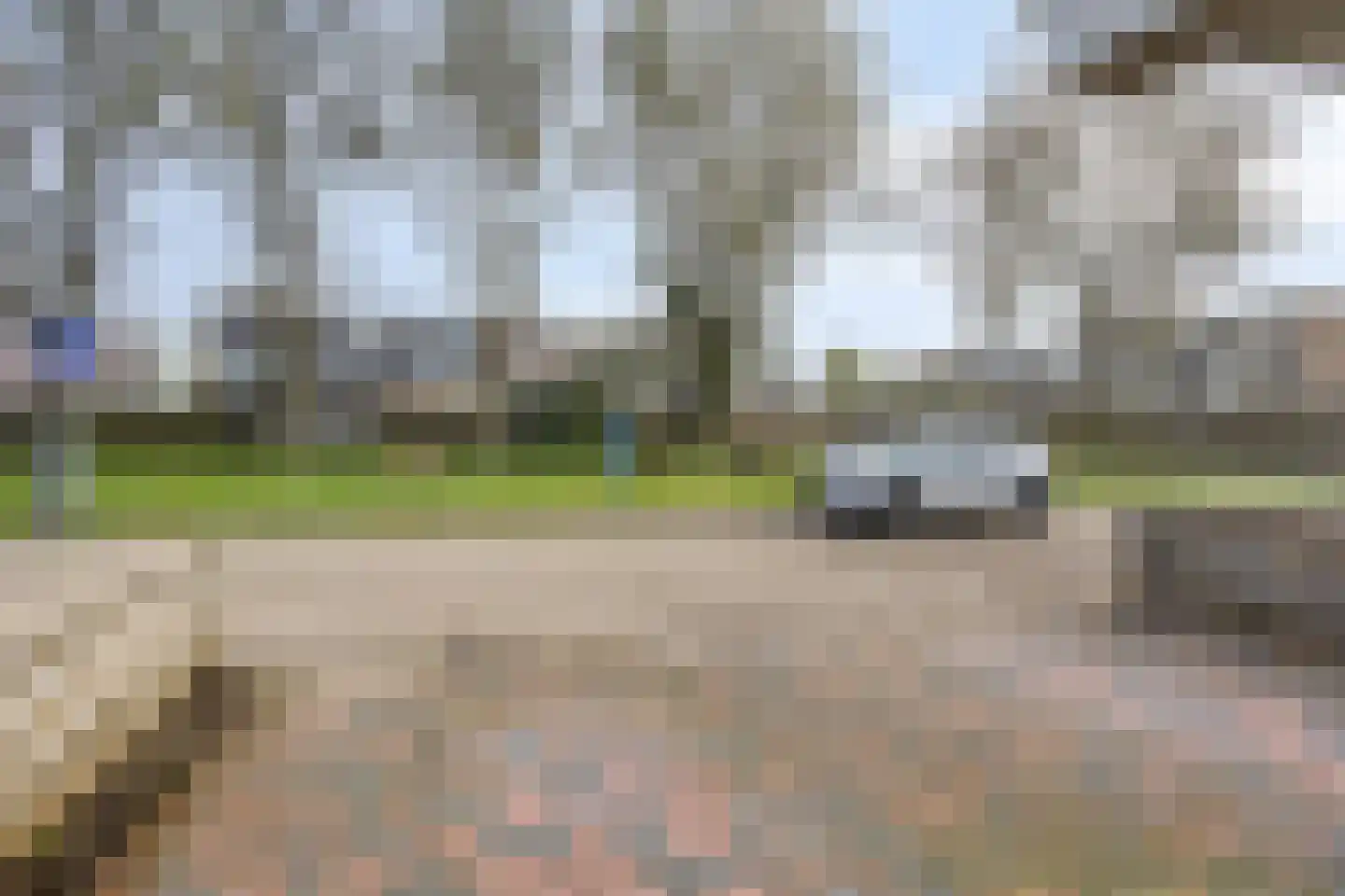 Delf 8 Veendam thumbnail 8