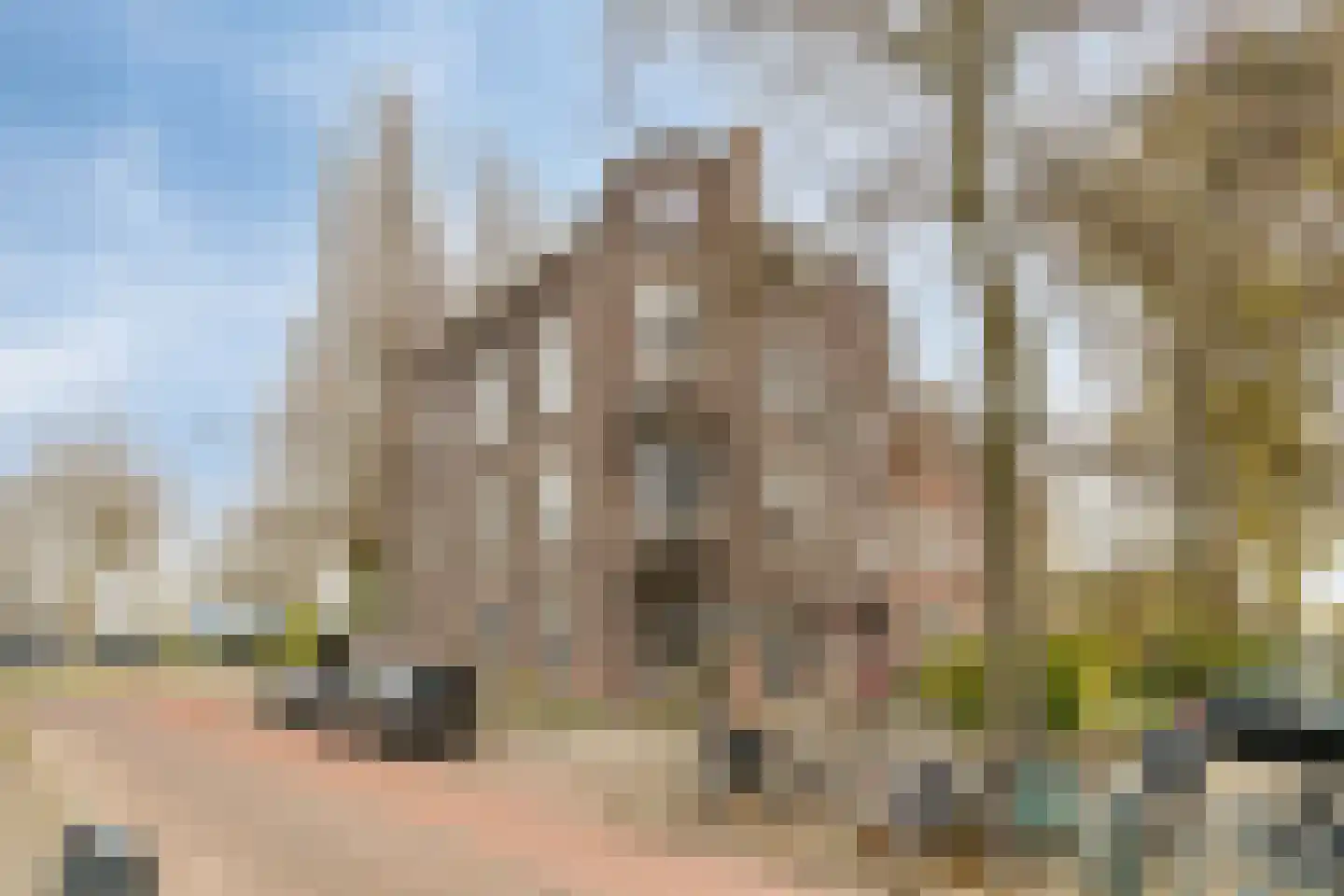 Delfgaauwstraat 103 B Rotterdam