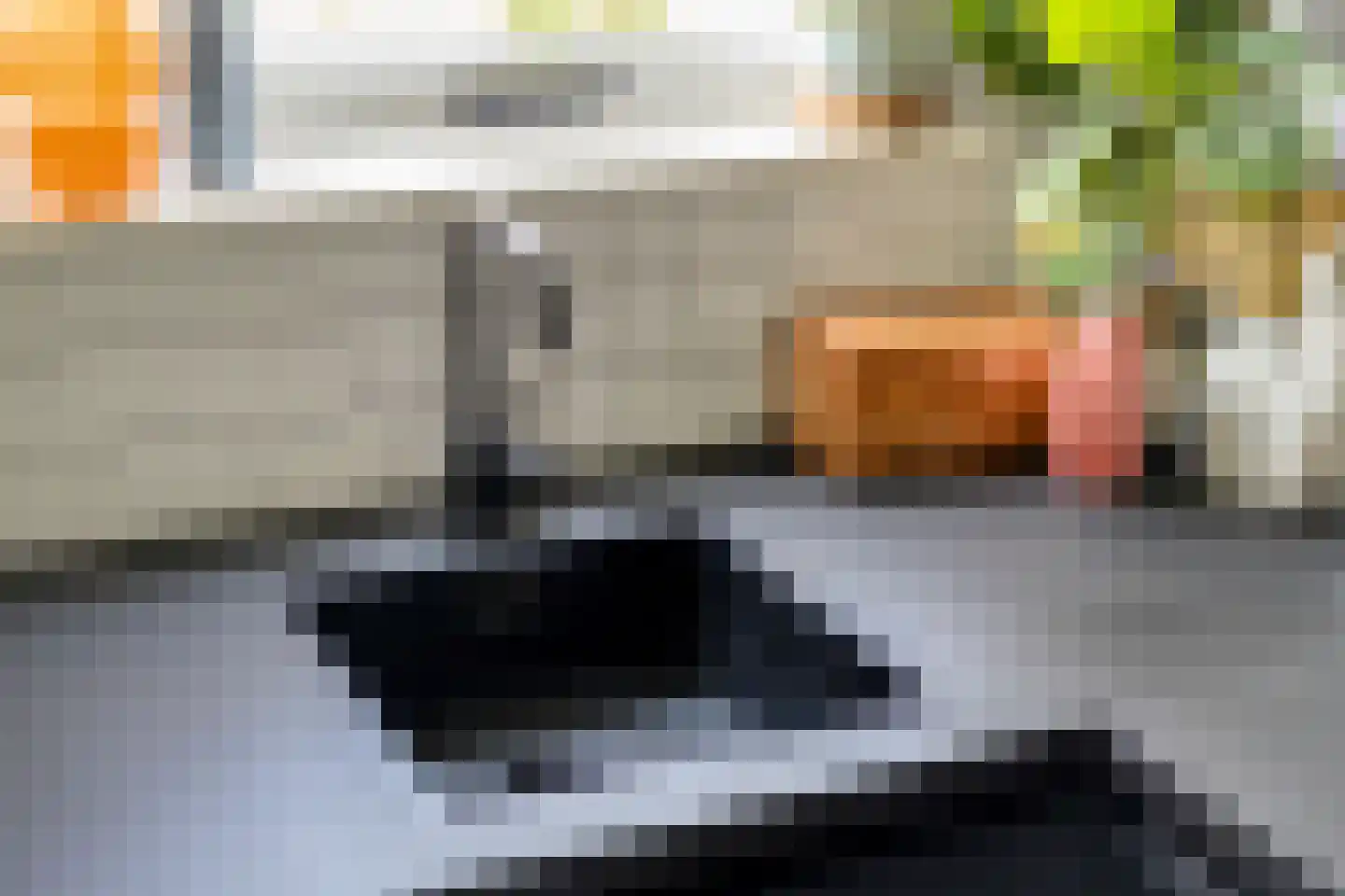 Delfgaauwstraat 103 B Rotterdam thumbnail 31