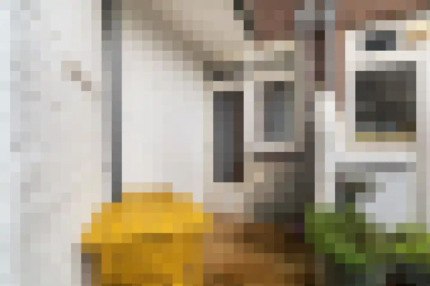Delfgaauwstraat 21 BGR Rotterdam thumbnail 28