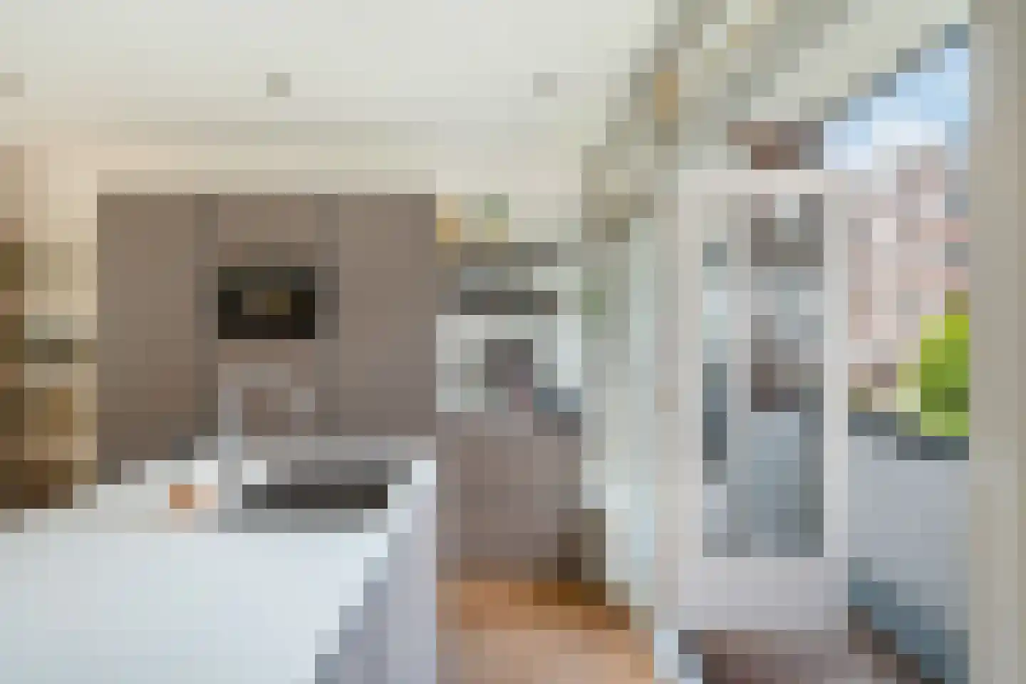 Delfgaauwstraat 23 B Rotterdam thumbnail 7