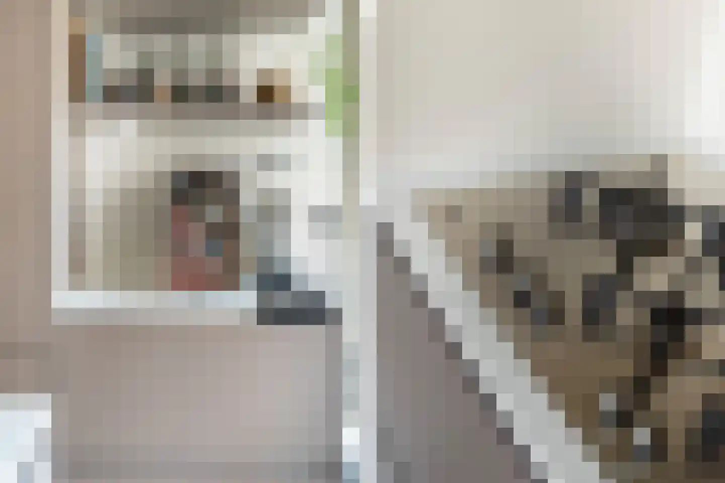 Delfgaauwstraat 23 B Rotterdam thumbnail 8