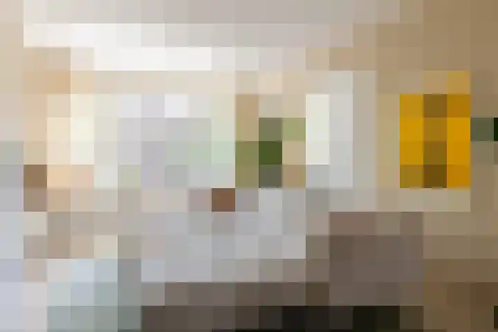 Delfgaauwstraat 27 B Rotterdam thumbnail 37