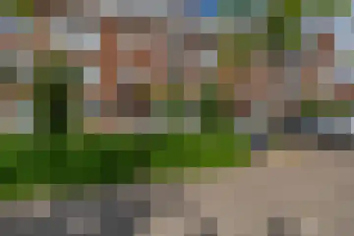 Delfgaauwstraat 27 B Rotterdam thumbnail 39