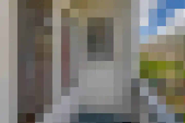 Delfgaauwstraat 27 B Rotterdam thumbnail 4