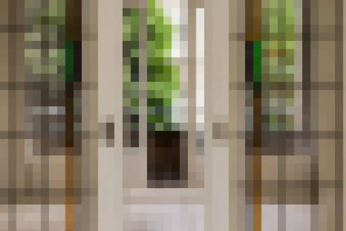 Delfgaauwstraat 41 A Rotterdam thumbnail 11