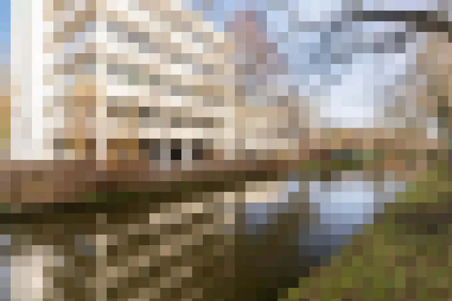 Delfgauwseweg 109 Delft thumbnail 9