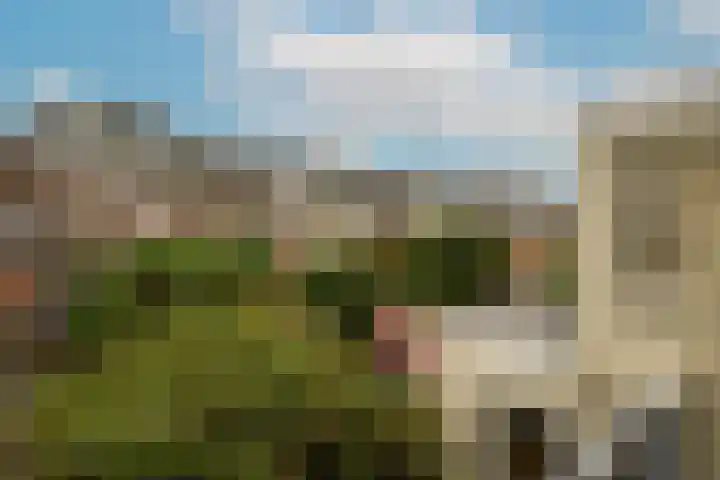 Delfgauwseweg 135 Delft thumbnail 12