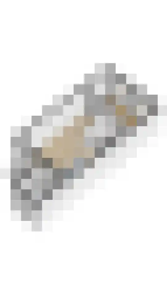 Delfgauwseweg 135 Delft thumbnail 32
