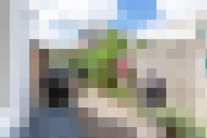 Delfgauwseweg 141 Delft thumbnail 12