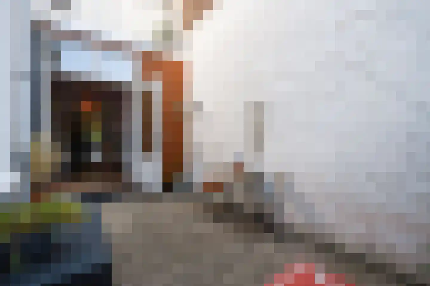 Delfgauwseweg 147 Delft thumbnail 14