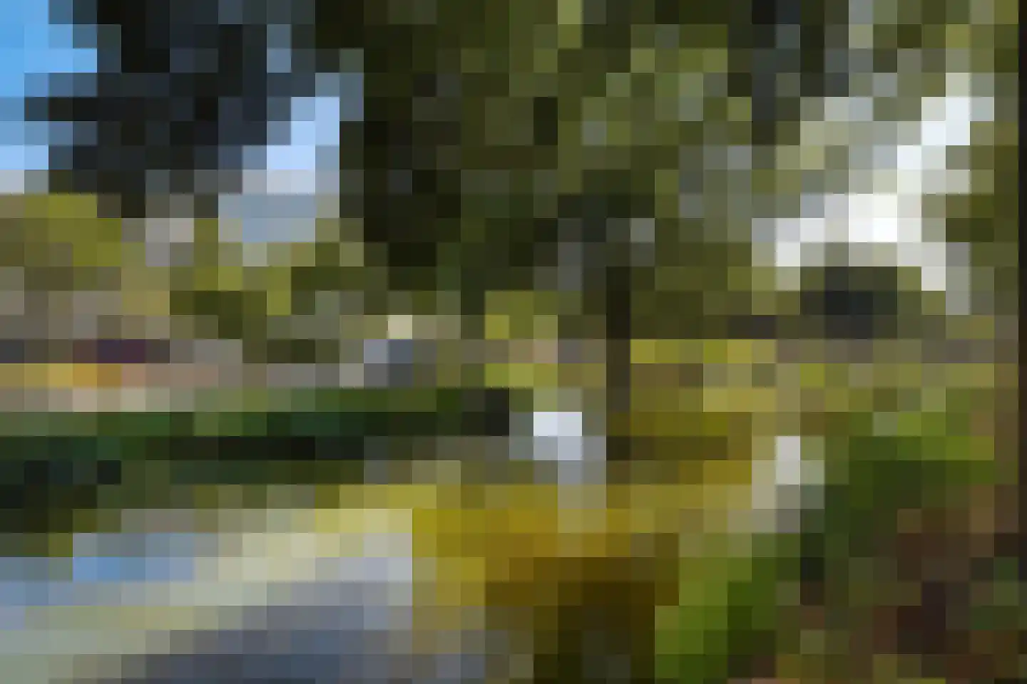 Delfgauwseweg 147 Delft thumbnail 33