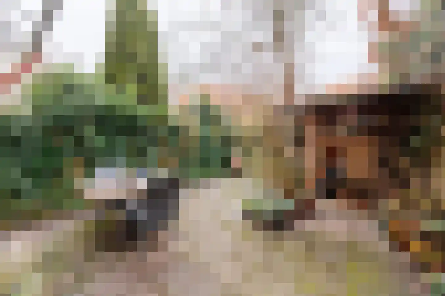 Delfgauwseweg 211 Delft thumbnail 16