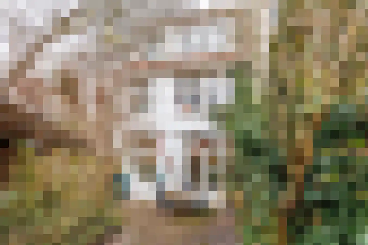 Delfgauwseweg 211 Delft thumbnail 18