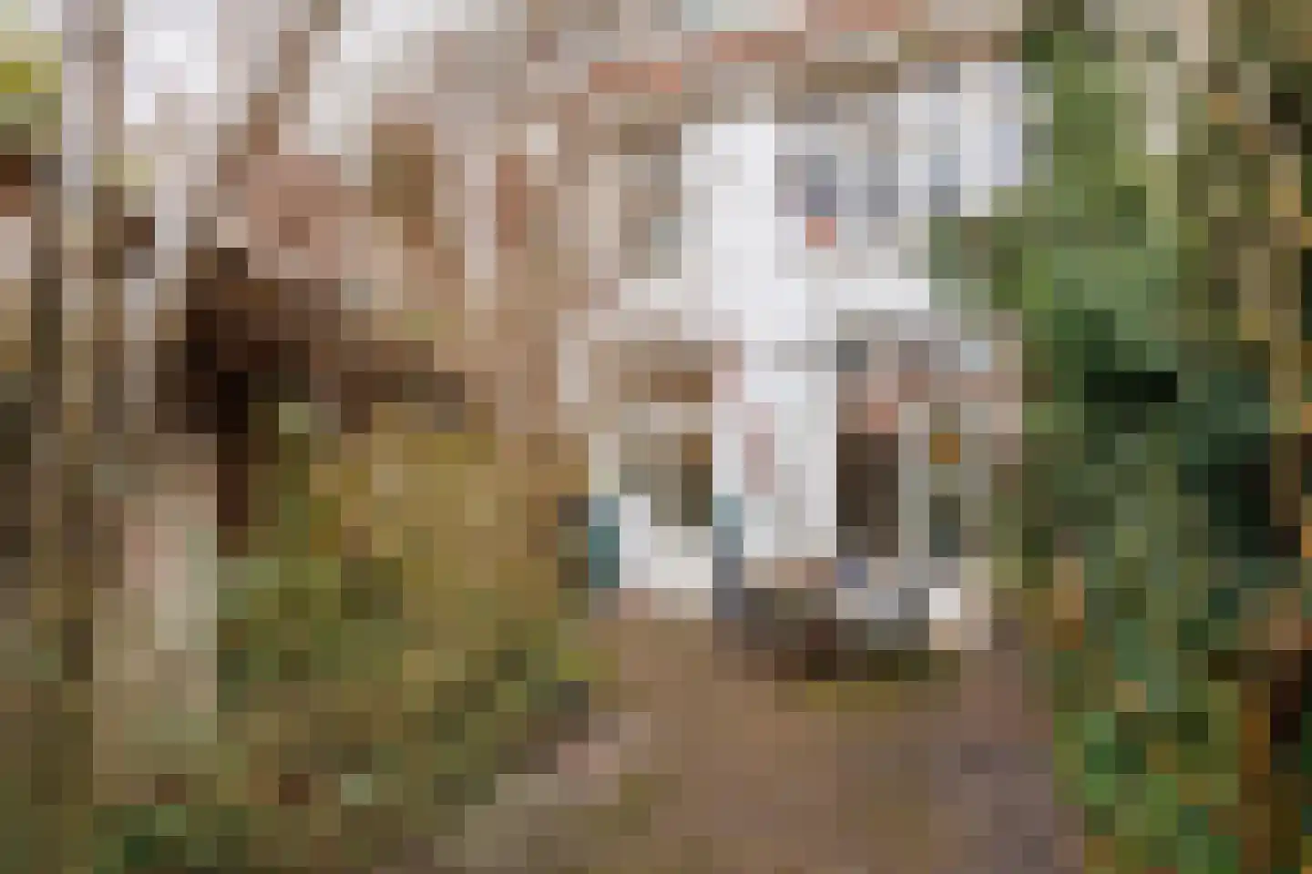 Delfgauwseweg 211 Delft thumbnail 19