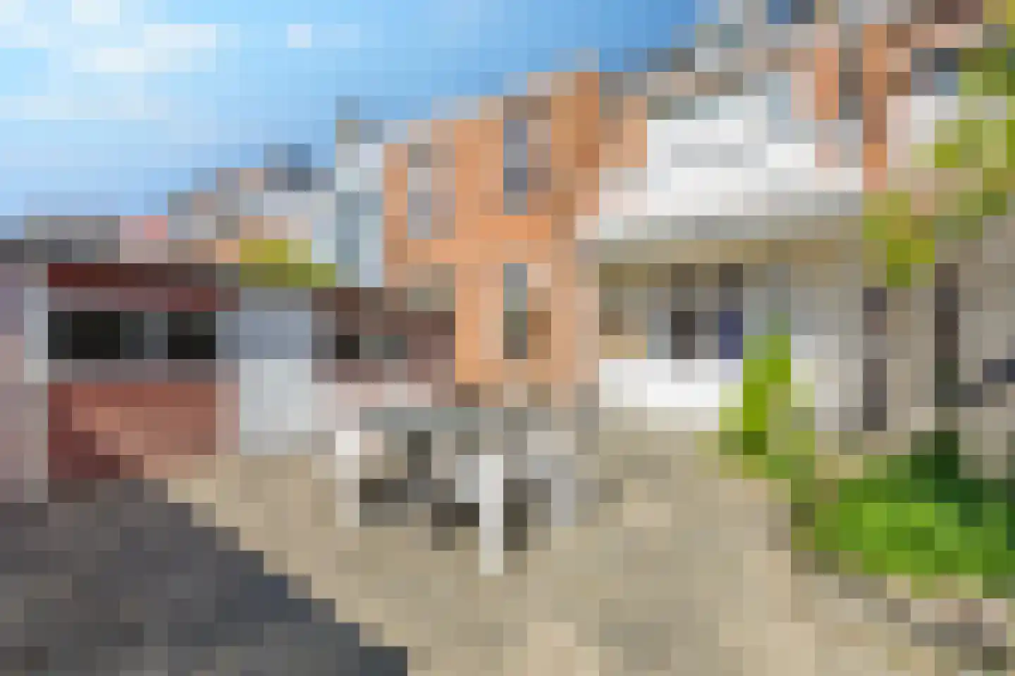 Delfgauwseweg 241 Delft thumbnail 10