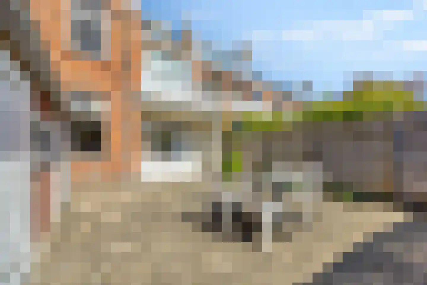 Delfgauwseweg 241 Delft thumbnail 11