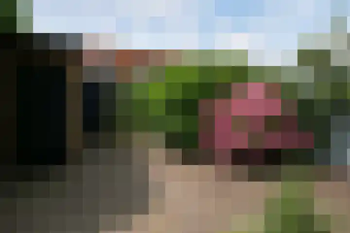 Delfgauwseweg 243 Delft thumbnail 12