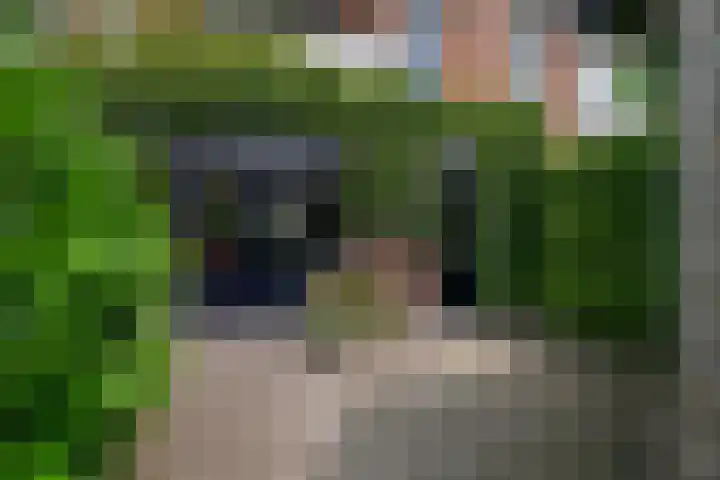 Delfgauwseweg 243 Delft thumbnail 13