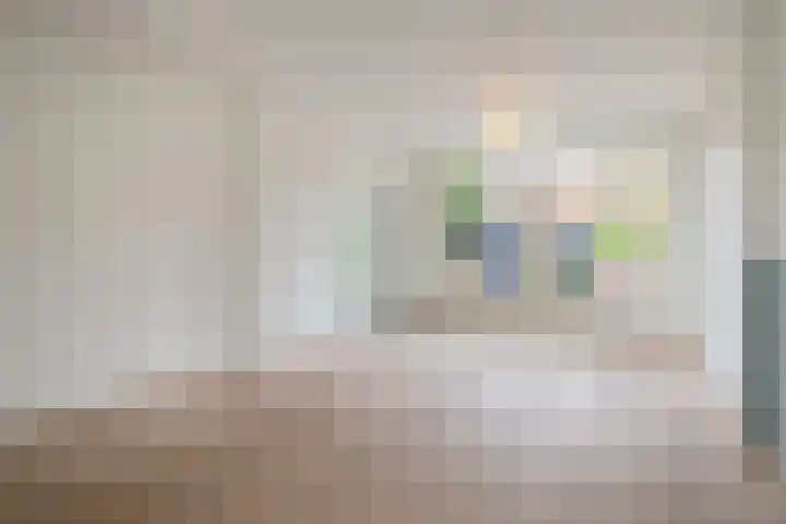 Delfgauwseweg 243 Delft thumbnail 7