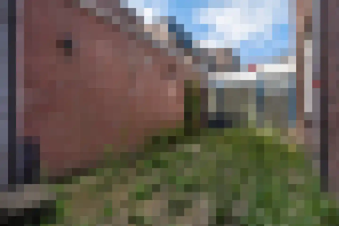 Delfgauwseweg 319 Delft thumbnail 26