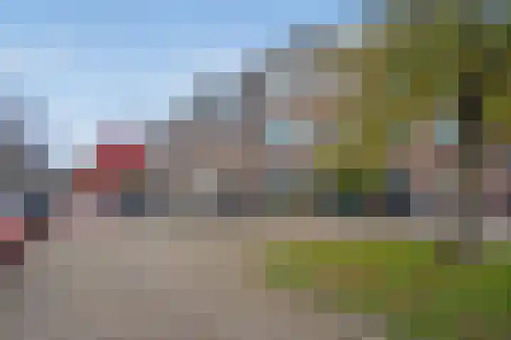 Delfgauwseweg 335 Delft thumbnail 24