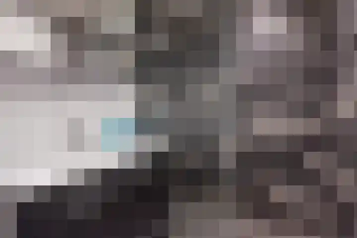 Delfgauwseweg 335 Delft thumbnail 4
