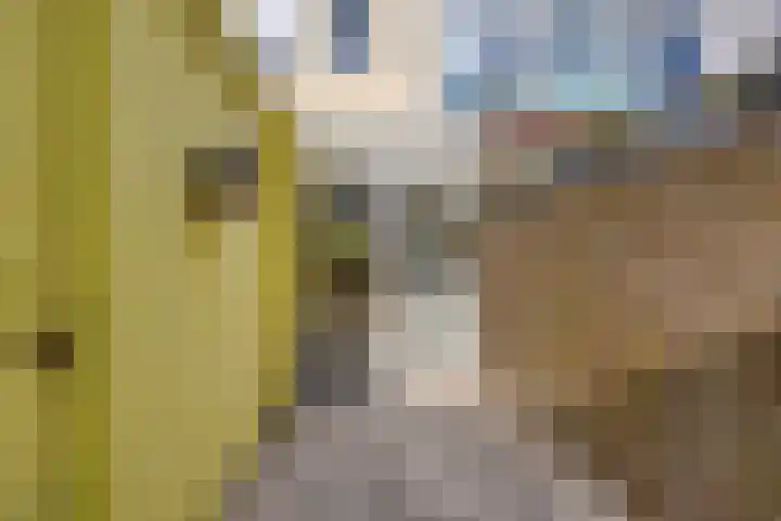 Delfgauwseweg 49 Delft thumbnail 17