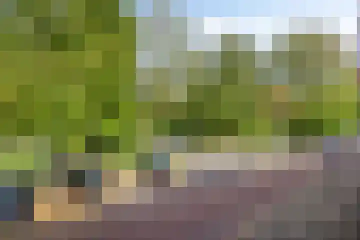 Delfgauwseweg 49 Delft thumbnail 33